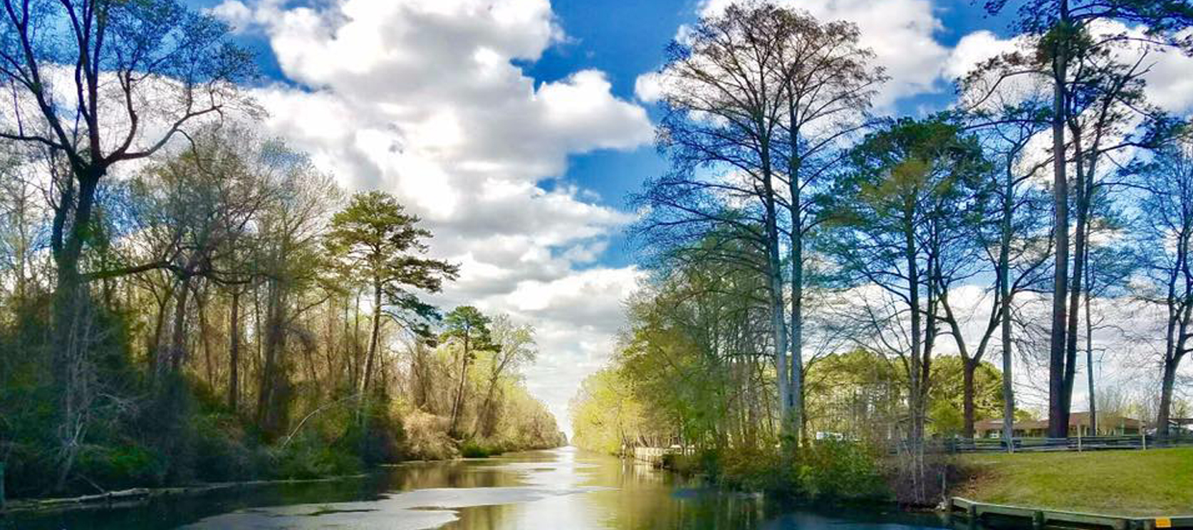 The Dismal Swamp Canal - Joseph Hyatt