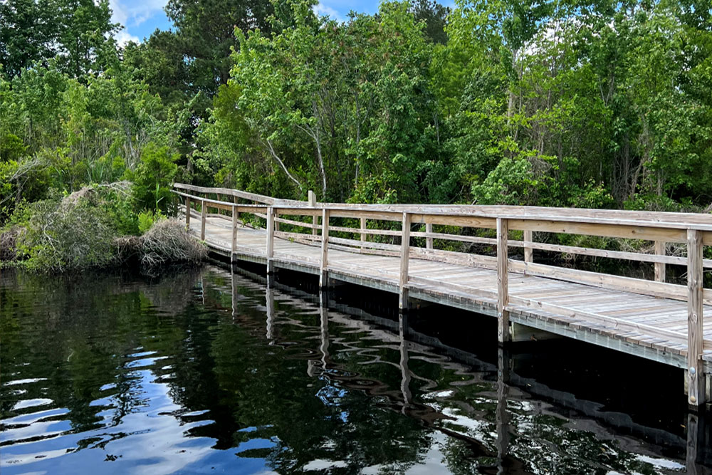 Fenwick-Hollowell Wetlands Trail