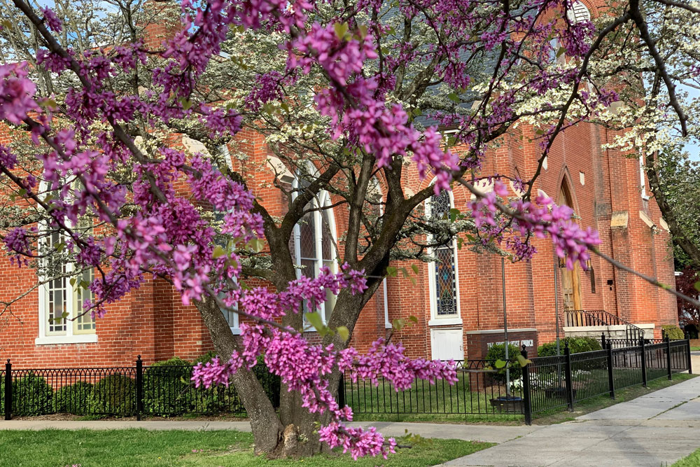 Main Street Residential District Tour