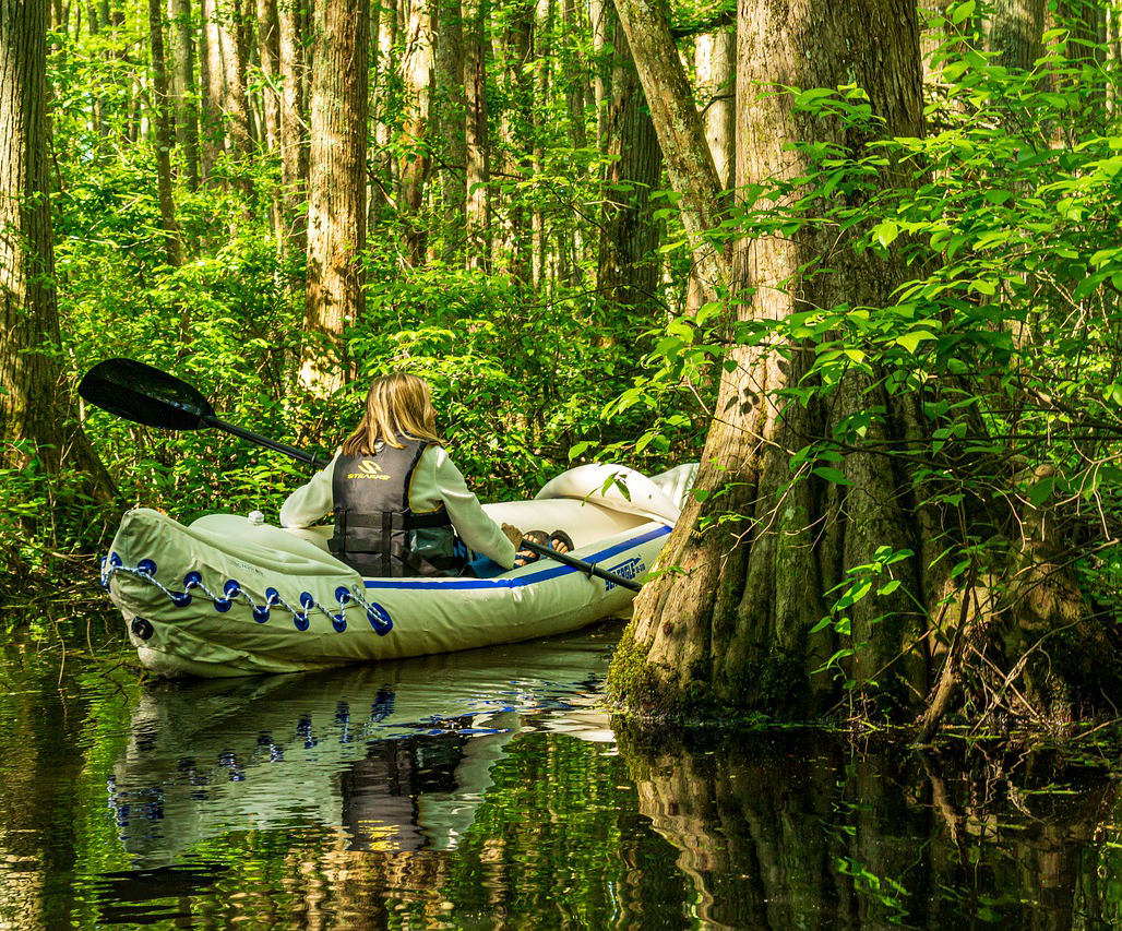 Merchants Millpond state park kayaking through cypress trees