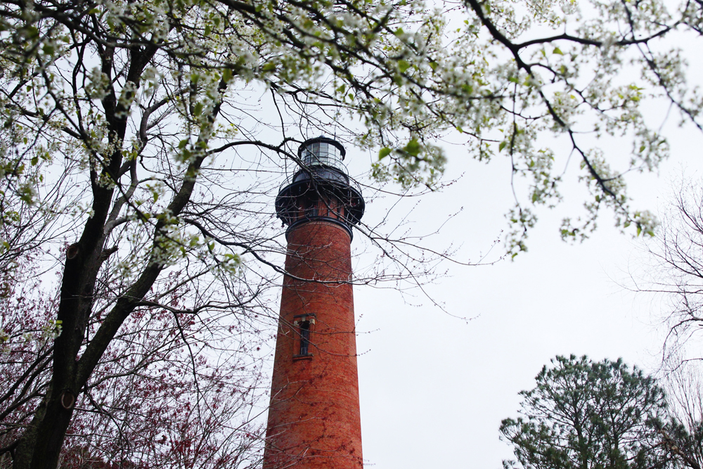 currituck lighthouse through the trees
