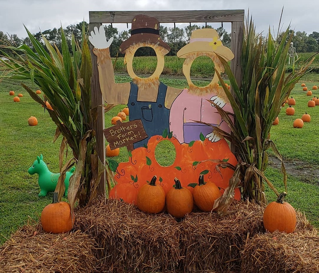 Brothers Farm Pumpkin Patch