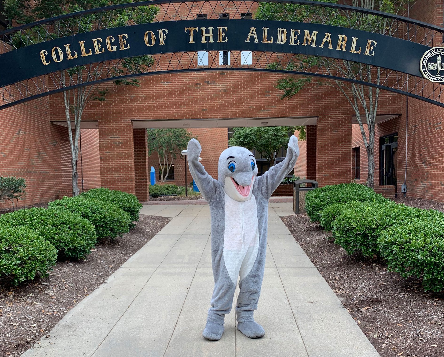 College of the Albemarle