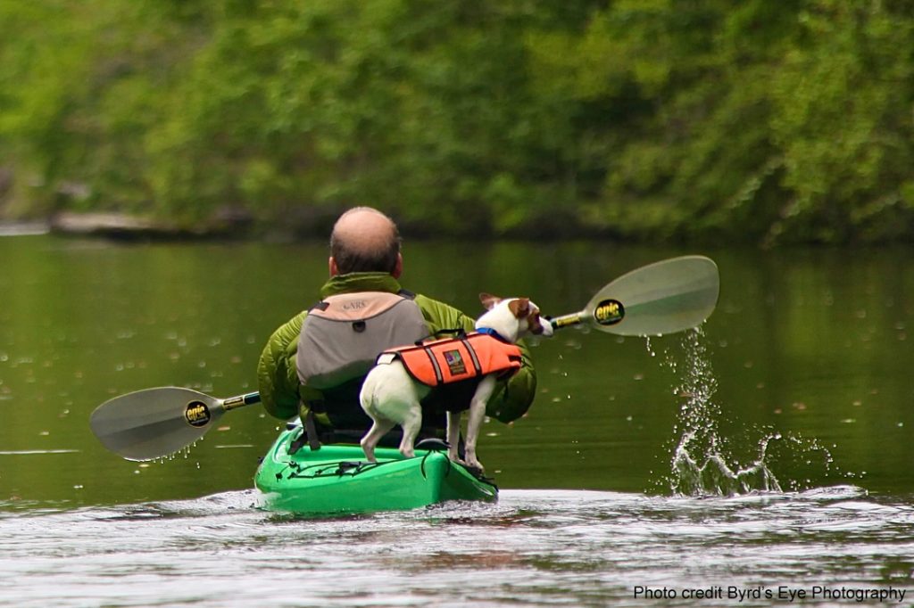 man and dog on kayak wearing life jackets, paddling on dismal swamp canal