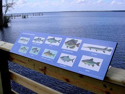 Hendrix Park & Cannon’s Ferry River Walk